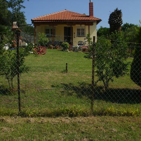 Xerxis Hill/Chalkidiki Τρυπητή Χαλκιδικής Villa Nea Roda Exterior foto